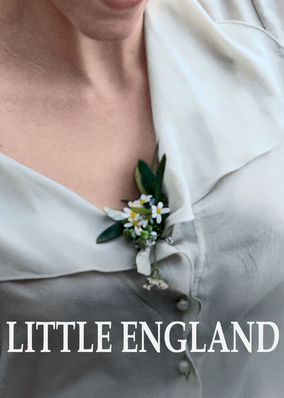 Box art for Little England